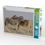 CALVENDO Puzzle Zebras 1000 Teile Lege-Größe 64 x 48 cm Foto-Puzzle Bild von Wilfried Martin
