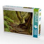 Im Parque Nacional de Garajonay (Puzzle)