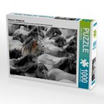 Dülmener Wildpferde (Puzzle)