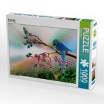 Blaue Ara (Puzzle)