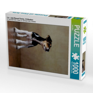 Liu - Jack Russel-Terrier, 10 Wochen (Puzzle)