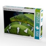 CALVENDO Puzzle Gefährliche Schlangen - Grüner Hundskopfschlinger 1000 Teile Lege-Größe 64 x 48 cm Foto-Puzzle Bild von Michael Herzog