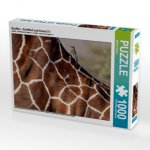 Giraffen - Sanftheit und Anmut (1) (Puzzle)