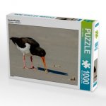 Austernfischer (Puzzle)