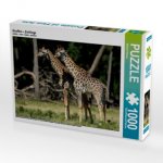 CALVENDO Puzzle Giraffen - Zwillinge 1000 Teile Lege-Größe 64 x 48 cm Foto-Puzzle Bild von Michael Herzog