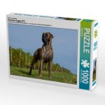 Ein Motiv aus dem Kalender Deutsche Dogge 2017 (Puzzle)