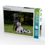Ein Motiv aus dem Kalender Deutsche Dogge 2017 (Puzzle)