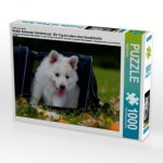 Ein Motiv aus dem Kalender Weißer Schweizer Schäferhund - Ein Tag im Leben einer Hundefamilie (Puzzle)