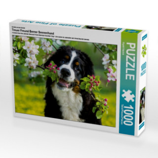 Ein Motiv aus dem Kalender Treuer Freund Berner Sennenhund (Puzzle)