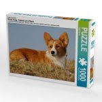 Ein Motiv aus dem Kalender Welsh Corgi - Kobold auf 4 Pfoten (Puzzle)