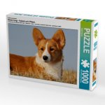 Ein Motiv aus dem Kalender Welsh Corgi - Kobold auf 4 Pfoten (Puzzle)