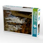 Ein Motiv aus dem Kalender Faszination Wolfhund (Puzzle)