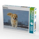 Golden Retriever (Puzzle)