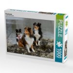 Flusshunde (Puzzle)