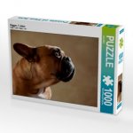 Digger, 7 Jahre (Puzzle)