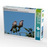 Ein Motiv aus dem Kalender Vögel zwischen Elbwatt und Tävsmoor (Puzzle)