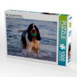 Sigi - Hund spielt im Wasser (Puzzle)