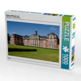 Schloss Münster (LU) (Puzzle)