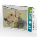Ein Motiv aus dem Kalender Airedale Terrier 2017 (Puzzle)