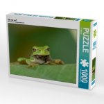 Gib nie auf! (Puzzle)