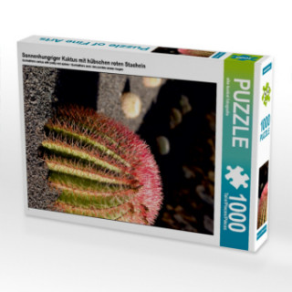 Sonnenhungriger Kaktus mit hübschen roten Stacheln (Puzzle)