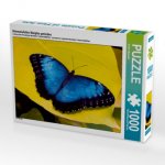 Himmelsfalter Morpho peleides (Puzzle)