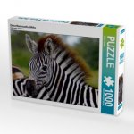 Zebra-Nachwuchs, Afrika (Puzzle)