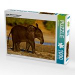Junger Elefant in Botswana (Puzzle)