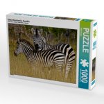 Zebra-Kleinfamilie, Namibia (Puzzle)