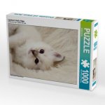 Liprima's Holly Hope (Puzzle)