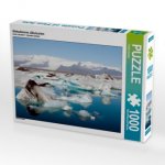 Gletschersee Jökulsarlon (Puzzle)