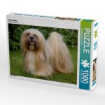 Lhasa Apsu (Puzzle)