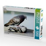 Tauben (Puzzle)