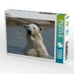 Eisbär (Puzzle)