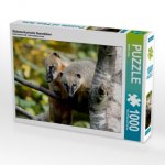 Südamerikanische Nasenbären (Puzzle)