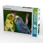 Turtelnde Wellensittiche (Puzzle)