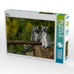 Kattas (Puzzle)