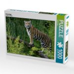 Armurtiger (Puzzle)