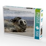 Winkende Robbe (Puzzle)