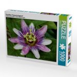 Passiflora 