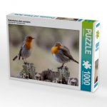 Rotkehlchen dick und dünn (Puzzle)