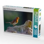 Schönes Rotkehlchen im Sonnenlicht (Puzzle)