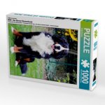 Ein Motiv aus dem Kalender BÄR - Der Berner Sennenhund (Puzzle)