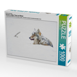 CALVENDO Puzzle Schneebedeckter Wolf liegt im Schnee 1000 Teile Lege-Größe 64 x 48 cm Foto-Puzzle Bild von Wilfried Martin