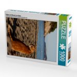 Katze am Strand von Ibiza (Puzzle)