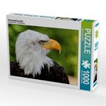 Weisskopfseeadler (Puzzle)