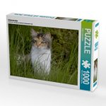 Glückskatze (Puzzle)