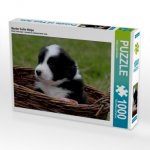 Border Collie Welpe (Puzzle)