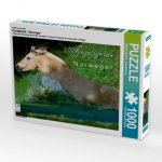 Ein Motiv aus dem Kalender Fjordpferde - Norweger (Puzzle)