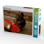 Ein Motiv aus dem Kalender Airedale Terrier Welpen (Puzzle)